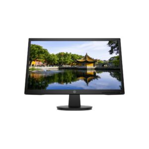 HP V22v 21.5" FHD Monitor